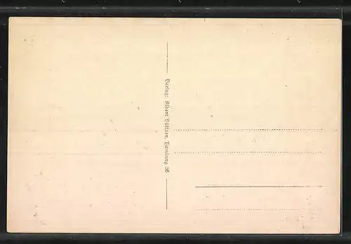 AK Alt-Hamburg, Schweinemarkt 1868