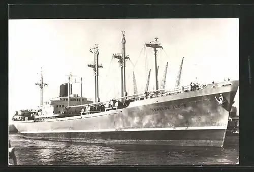 AK M.S. Schelde Lloyd im Hafen