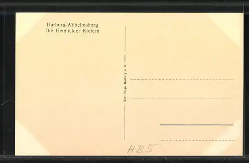 AK Hamburg-Wilhelmsburg, Ansicht mit Heimfelder Kiefern