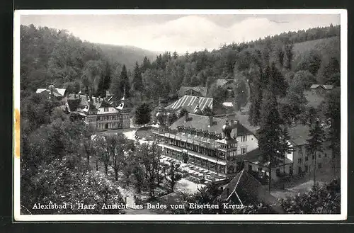 AK Alexisbad im Harz, Ansicht des Bades vom Eisernen Kreuz