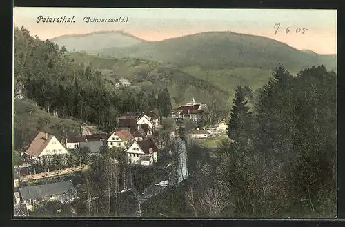 AK Petersthal / Schwarzwald, Gesamtansicht