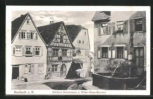 AK Marbach a. N., Schillers Geburtshaus und Wilder-Mann-Brunnen