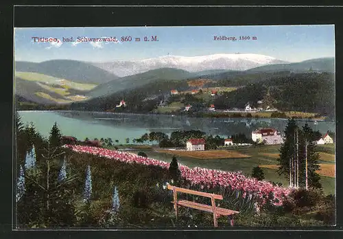 AK Titisee, Blick auf die Siedlung am Seeufer