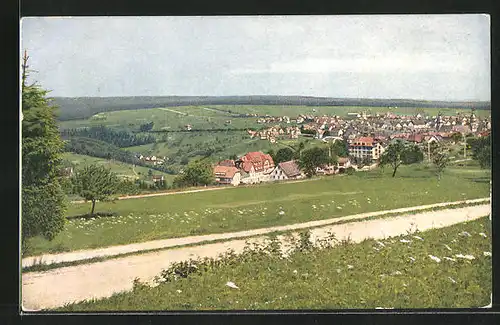 AK Freudenstadt, Ortstotale mit Hotel Waldeck und Christophsaue