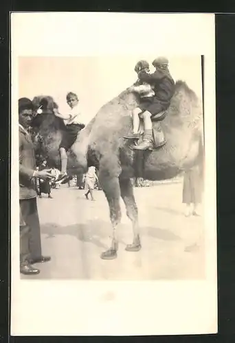 AK Kinder sitzen auf einem Kamel