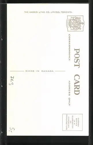 AK Niagara, American Falls from Goat Island