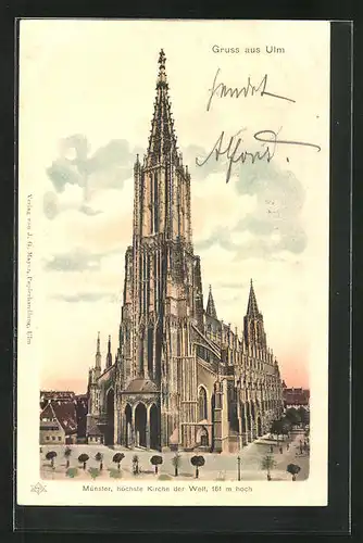 AK Ulm a. D., Blick auf das Münster