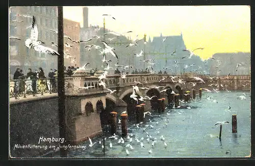 AK Hamburg-Neustadt, Möwenfütterung am Jungfernstieg