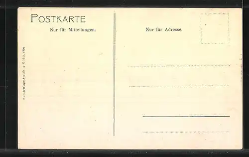 AK Hamburg-Neustadt, Möwen an der Alster beim Jungfernstieg