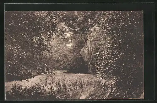 AK Hamburg-Eppendorf, Schröder`scher Park