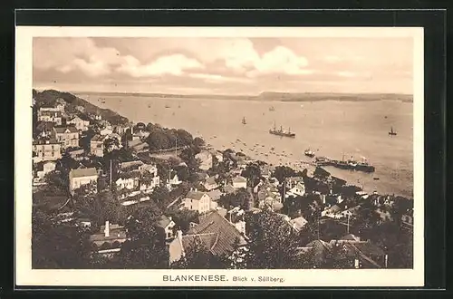 AK Hamburg-Blankenese, Blick vom Süllberg, Dampfer auf der Elbe