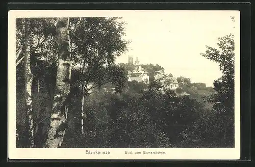 AK Hamburg-Blankenese, Blick vom Bismarckstein