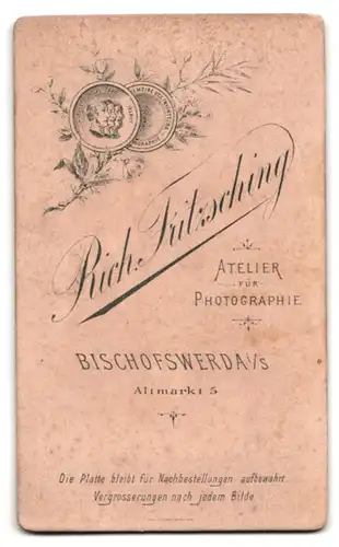 Fotografie Rich. Fritsching, Bischofswerda, Altmarkt 5, Dame in dunklem Kleid mit Halskette