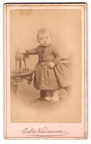 Fotografie Eduard Naumann, Meerane i. S., kleines Kind mit Spielzeugpferd