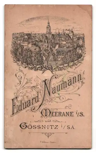 Fotografie Eduard Naumann, Meerane i. S., kleines Kind mit Spielzeugpferd