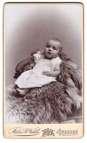 Fotografie Atelier B. Wehle, Dresden, Marienstrasse 44, Baby sitzt auf Fell