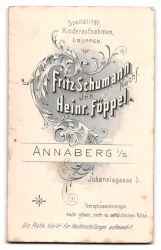 Fotografie Heinr. Föppel, Annaberg i /S., Johannisgasse 5, Portrait bürgerlicher älterer Herr in Jacke mit Bart