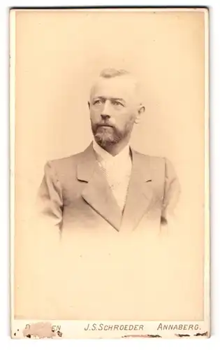 Fotografie J. S. Schroeder, Dresden, Reissigerstrasse 46, Portrait stattlicher Herr im Anzug mit Vollbart