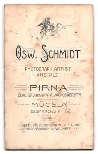 Fotografie Osw. Schmidt, Pirna, Ecke Grohmann- & Jackobäerstrasse, Portrait zwei kleine Mädchen in modischen Kleidern