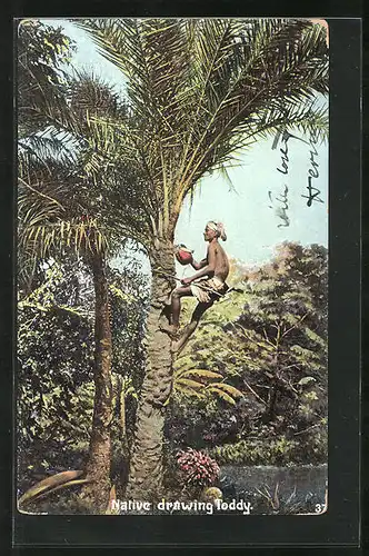 AK Indien, Native drawing Toddy, Inder auf einer Palme