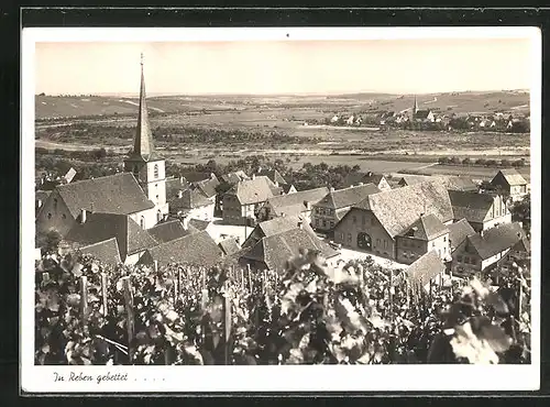 AK Escherndorf a. Main, Teilansicht mit Kirche