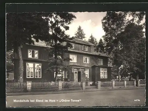 AK Mandelholz bei Elend im Harz, Gasthaus Grüne Tanne