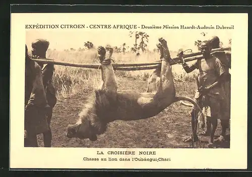 AK Expédition Ciroen, La Croisière Noire, Chasse au lion dans l`Oubangui-Chari, Grosswildjagd
