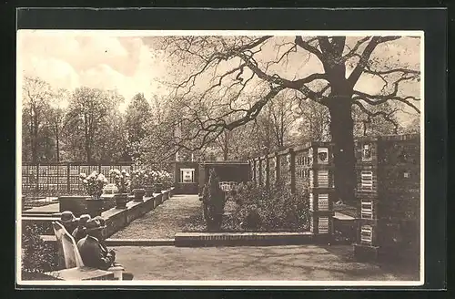 AK Dresden, Gartenbau-Ausstellung 1926, Garten der Rosenfreundin