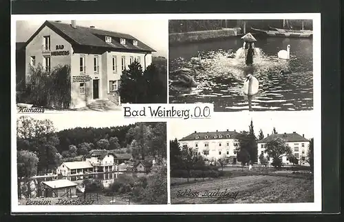 AK Prambachkirchen, Pension Daxberg, Kurhaus Bad Weinberg, Schloss Dachsberg