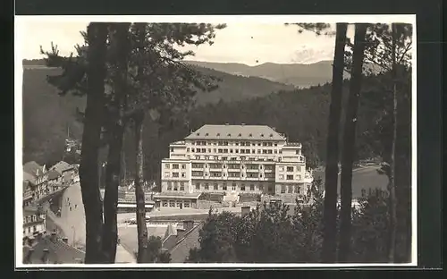 AK Lazne Luhacovice, Palace Hotel