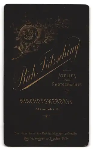 Fotografie Rich Fritzsching, Bischofswerda i. S., Altmarkt 5, Frau mit hochgestecktem Haar