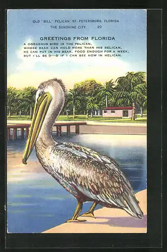 AK Pelican steht am Wasser