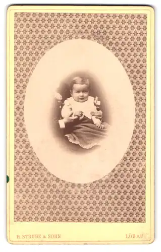 Fotografie H. Strube & Sohn, Löbau, Blumenstrasse 339, kleines Kind auf Schoss sitzend