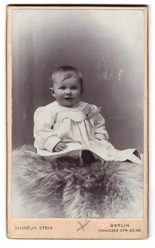 Fotografie Wilhelm Stein, Berlin, Chaussee Strasse 65 /66, Kindchen im Kleidchen sitzt auf einem Pelz
