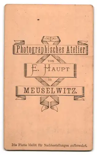 Fotografie E. Haupt, Meuselwitz, Portrait süsses Kleinkind im Kleid