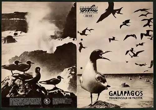 Filmprogramm PFP Nr. 32 /64, Galapagos - Trauminseln im Pazifik, Regie: Heinz Sielmann, Naturdokumentation