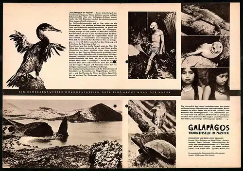 Filmprogramm PFP Nr. 32 /64, Galapagos - Trauminseln im Pazifik, Regie: Heinz Sielmann, Naturdokumentation