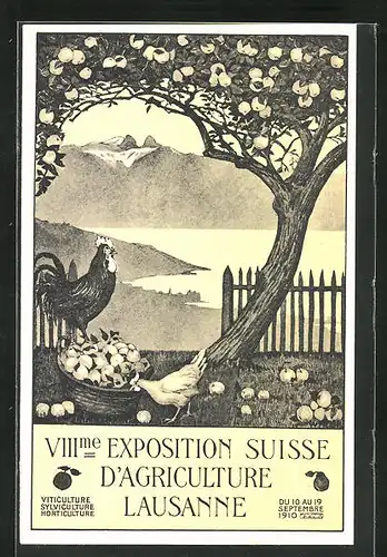 AK Lausanne, XIIIme Exposition Suisse d`Agriculture 1910, Hühner stehen beim Apfelkorb