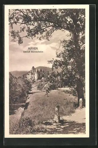 AK Mayen, Blick auf Schloss Bürresheim