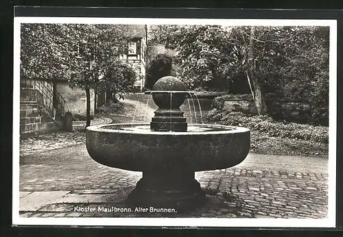 AK Maulbronn, Kloster Maulbronn, Alter Brunnen