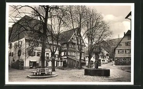 AK Alpirsbach / Schwarzwald, Klosterbrunnen und altes Schloss