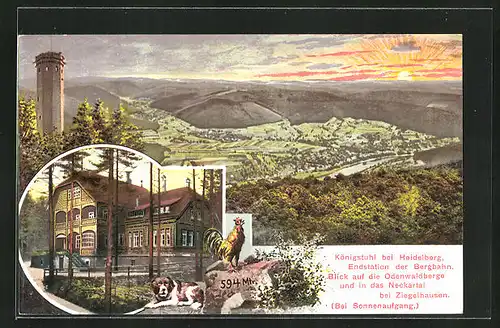 AK Heidelberg, Königstuhl, Odenwaldberge, Neckartal, Aussichtsturm