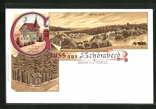 Lithographie Schömberg b. Wildbad, Hotel Schmidt, Ortsansicht
