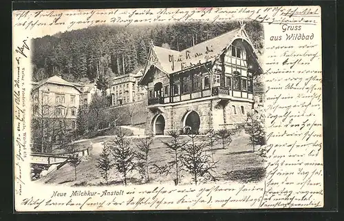 AK Wildbad, Gasthaus Neue Milchkur-Anstalt