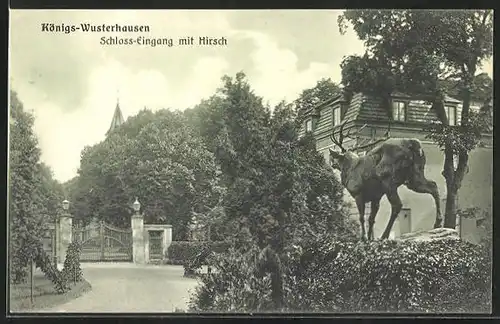 AK Königs-Wusterhausen, Schloss-Eingang mit Hirsch