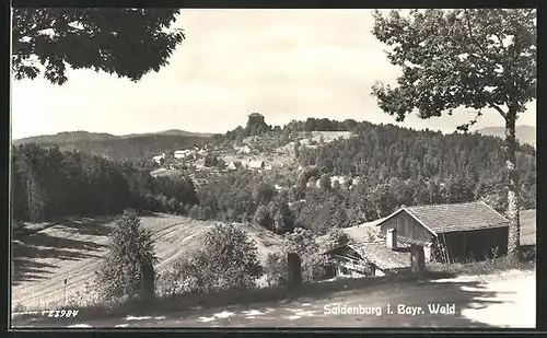 AK Saldenburg, Ortsansicht mit Burgberg