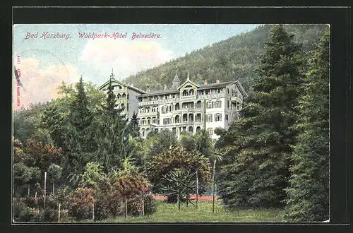 AK Bad Harzburg, Waldpark-Hotel Belvedère
