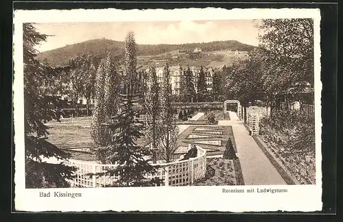 AK Bad Kissingen, Rosarium mit Ludwigsturm