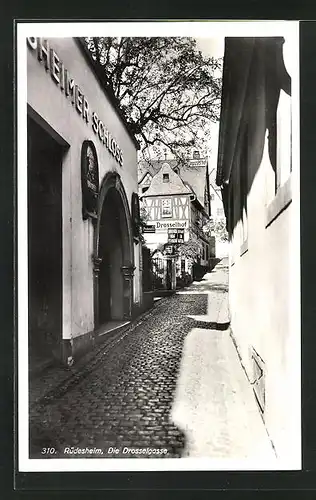 AK Rüdesheim, Drosselgasse mit Gasthaus Drosselhof