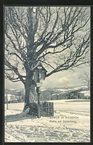 AK Miesbach, Partie am Stadelberg im Winter